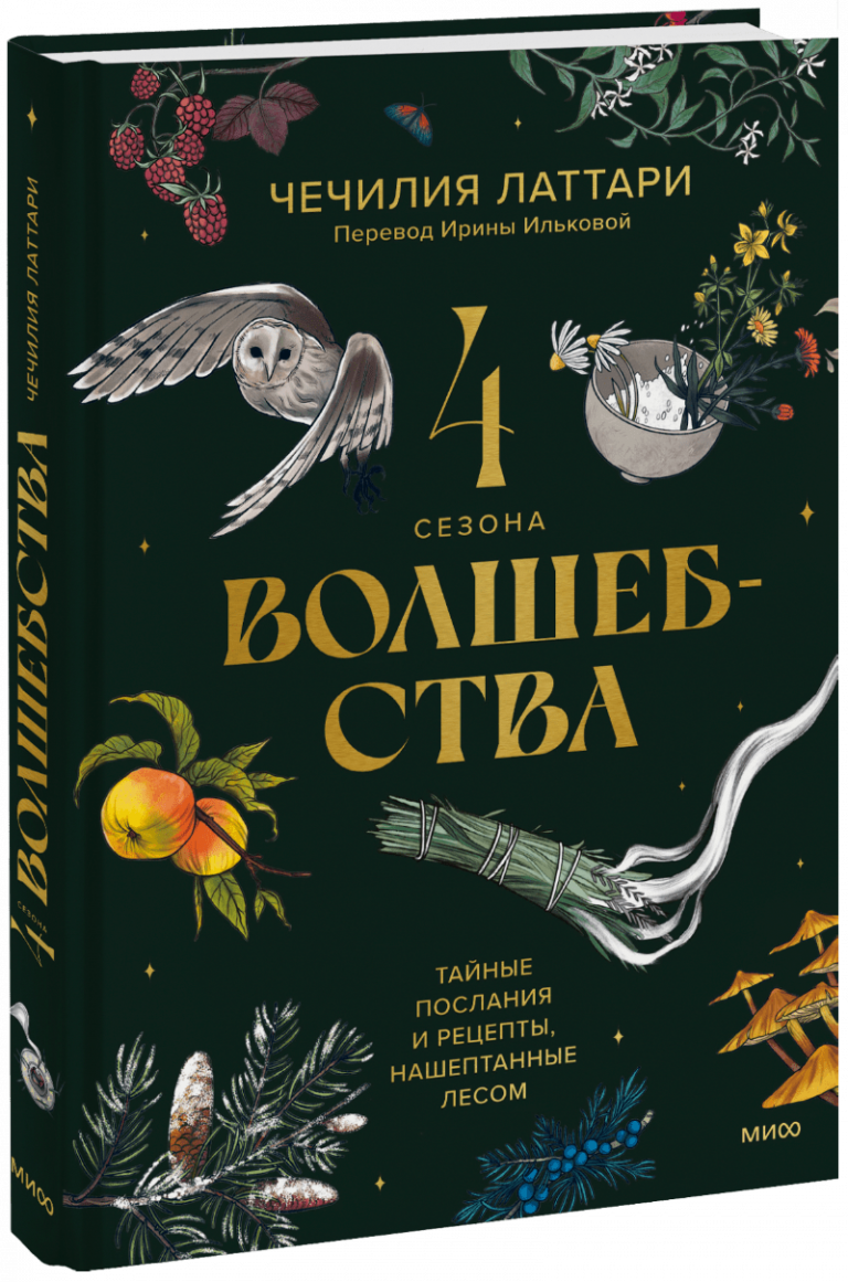 Книга «4 сезона волшебства»