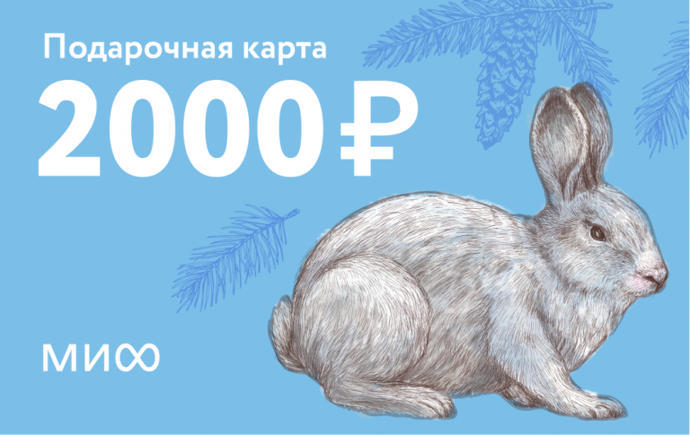 Подарочная карта на 2 000 ₽