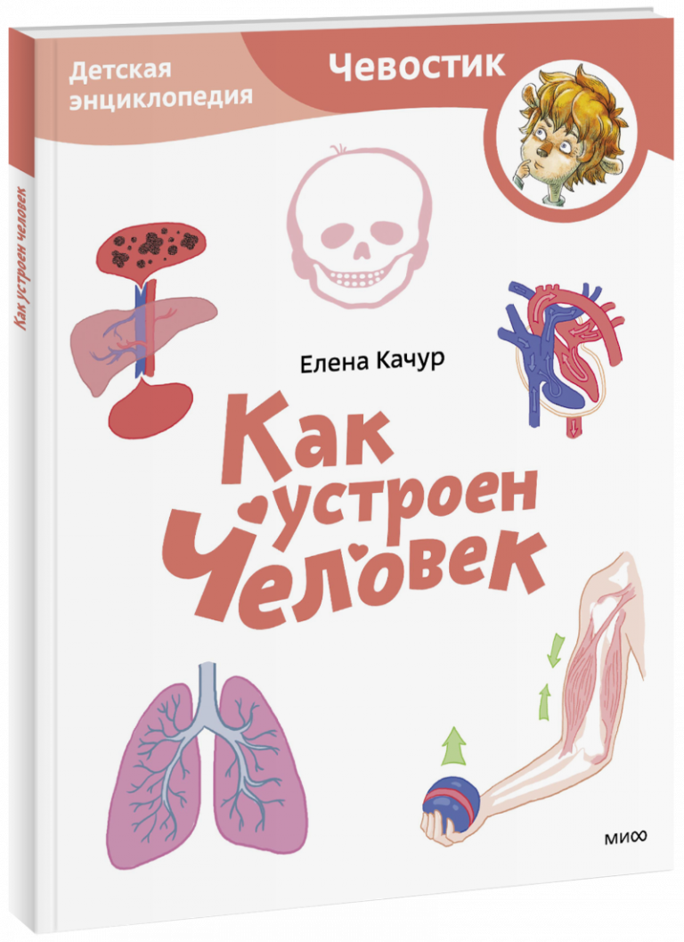 Как устроен человек. Детская энциклопедия. Paperback