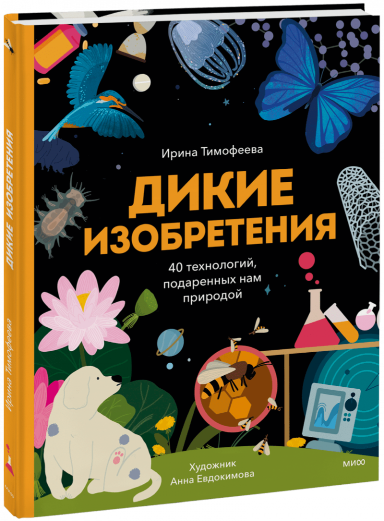 Книга «Дикие изобретения»