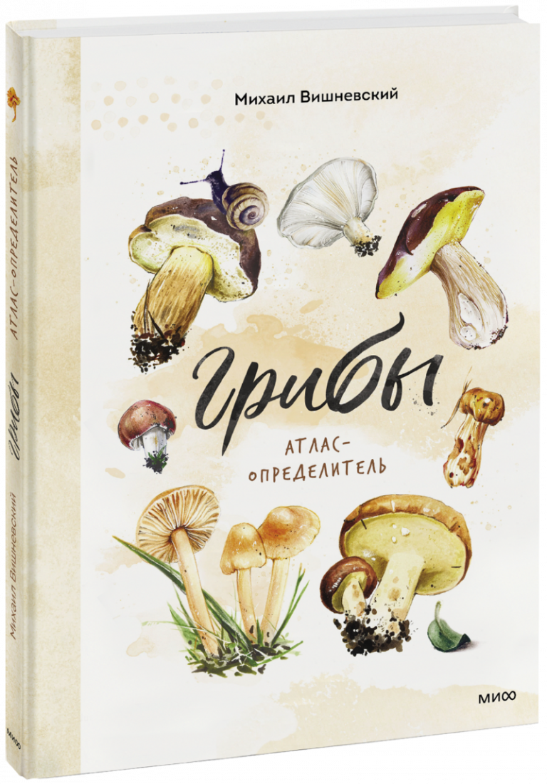 Книга «Грибы»