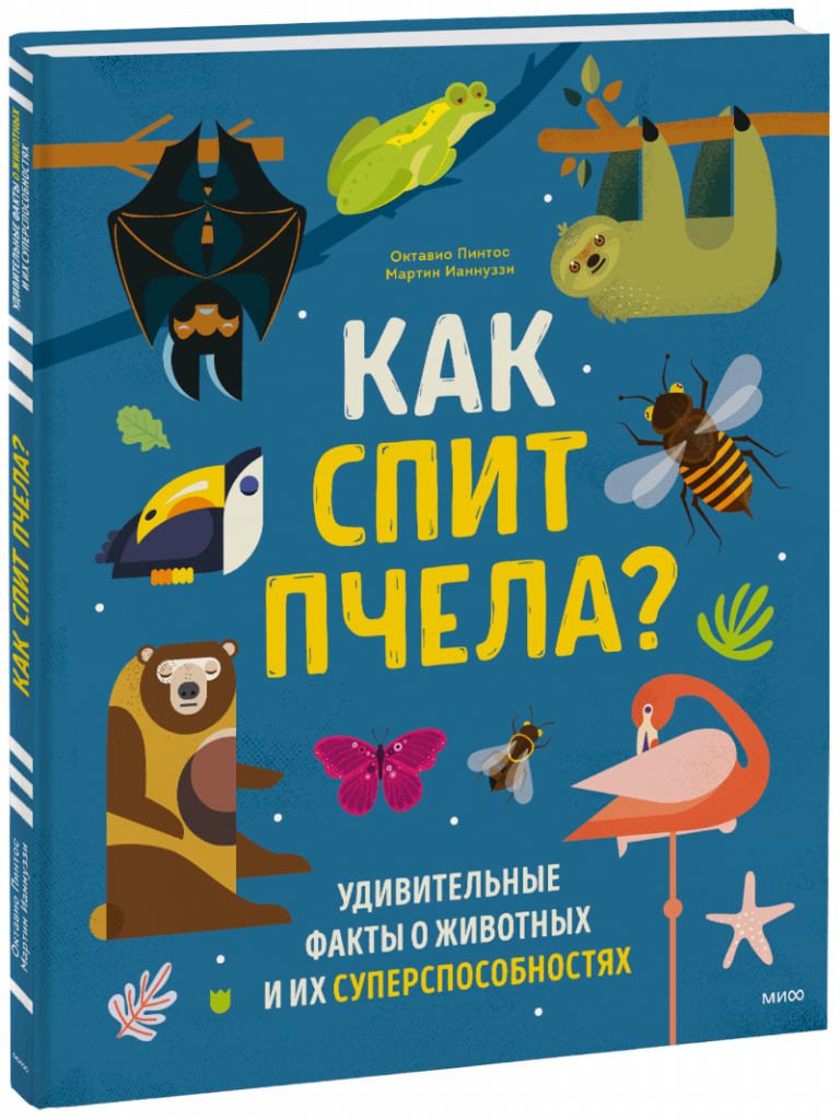 Книга «Как спит пчела?»