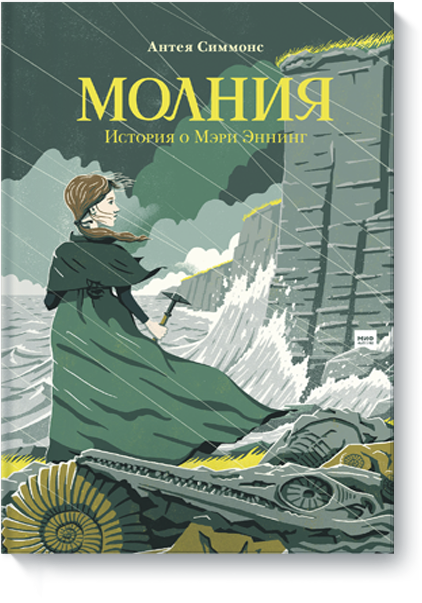 Книга «Молния»