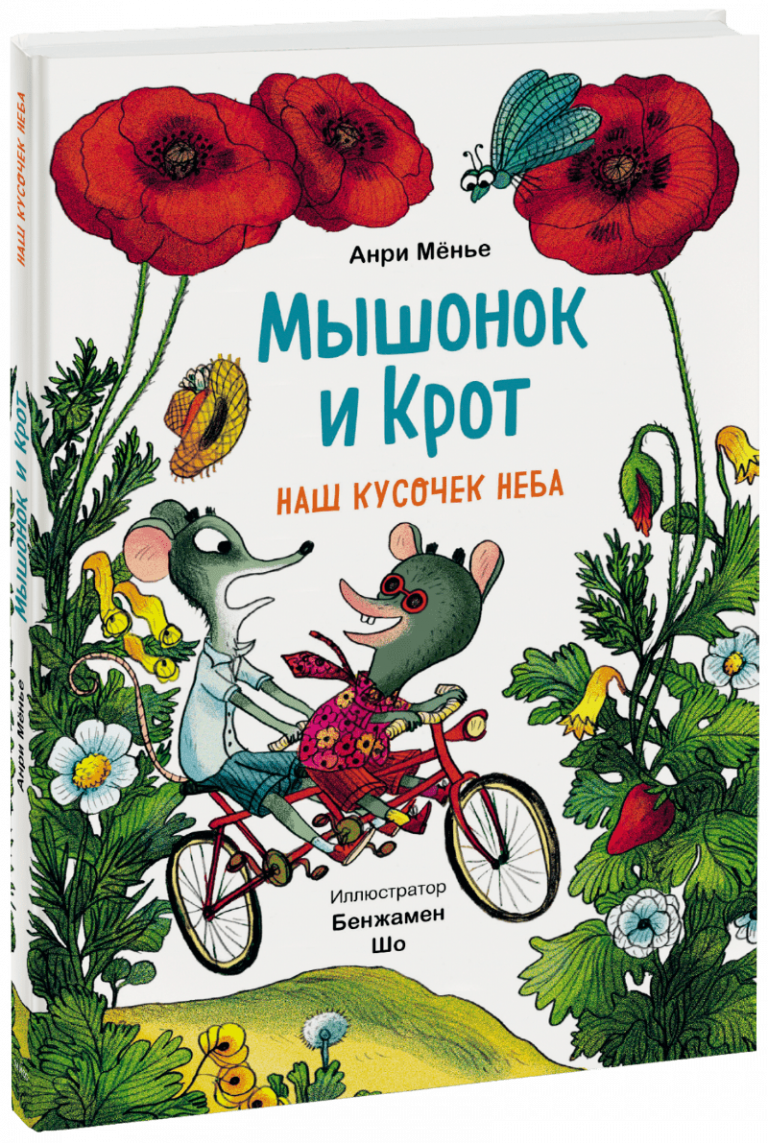 Книга «Мышонок и Крот. Наш кусочек неба»