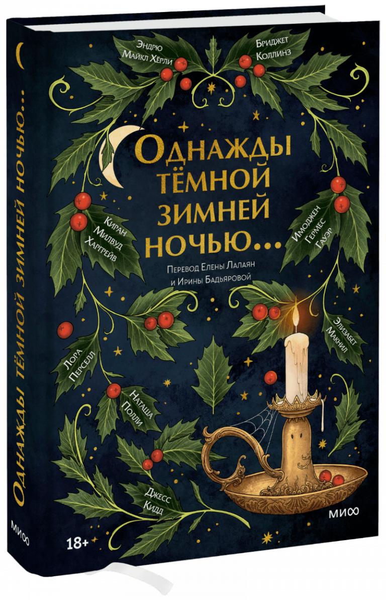 Книга «Однажды темной зимней ночью…»