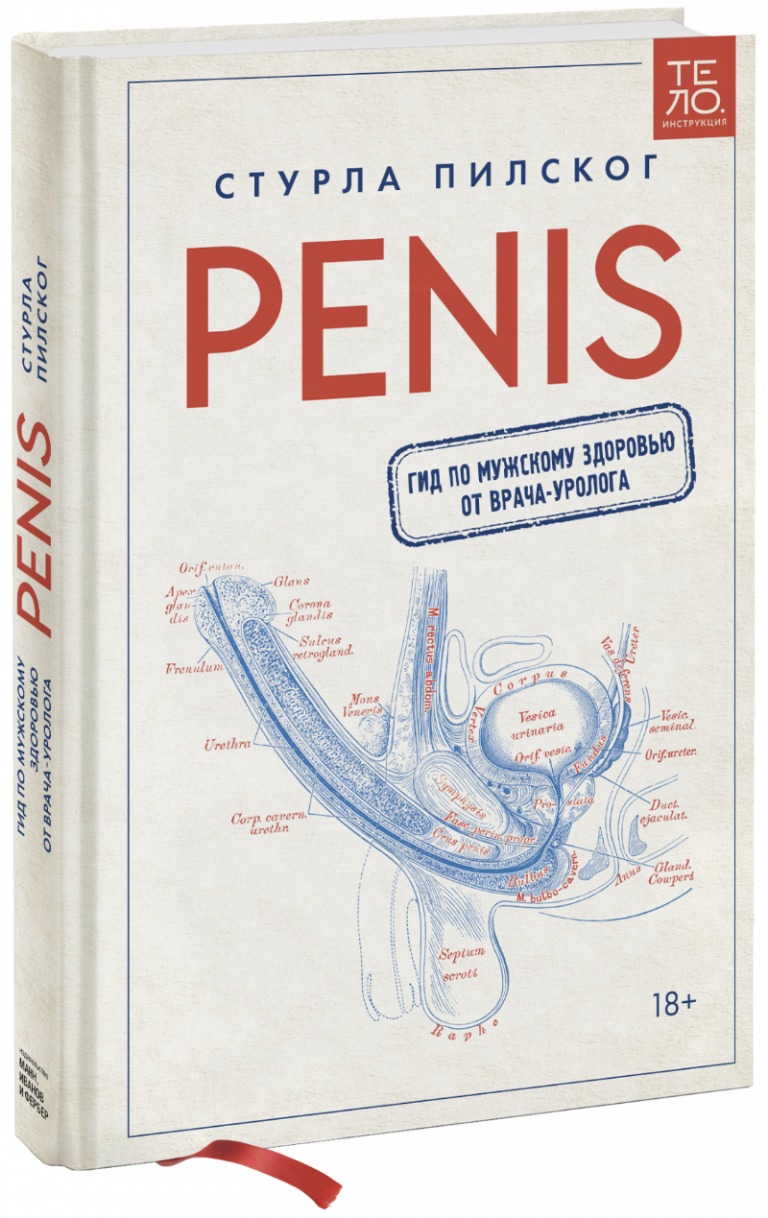 Penis