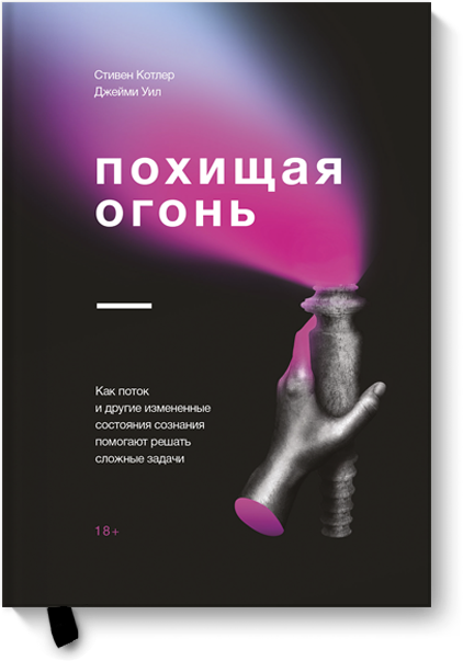 Книга «Похищая огонь»