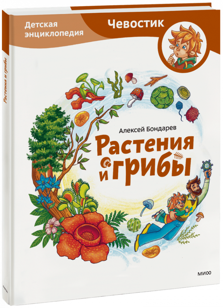 Книга «Растения и грибы. Детская энциклопедия»