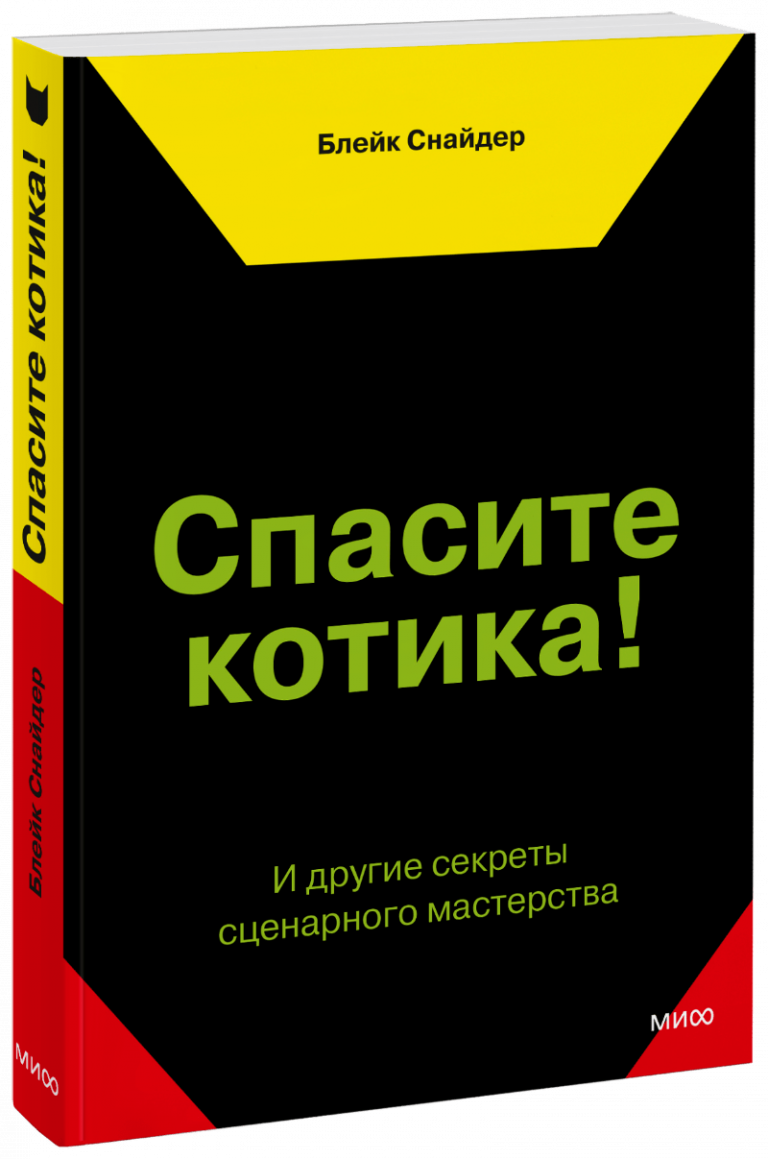 Книга «Спасите котика!»