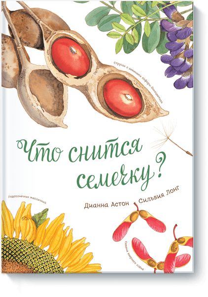 Что снится семечку?