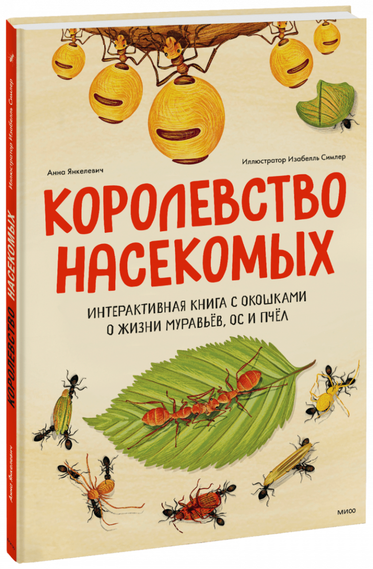 Королевство насекомых